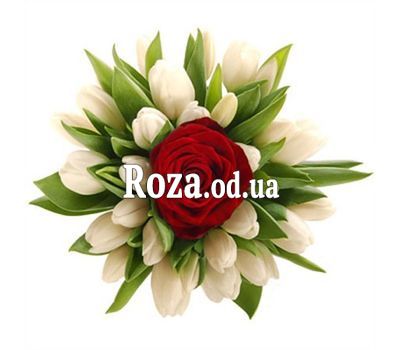 Букет тюльпанів з трояндою