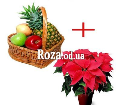 Fruits for the New Year