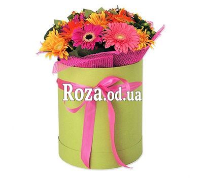 Gerberas in a hat box