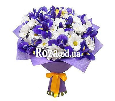 Хризантеми і іриси