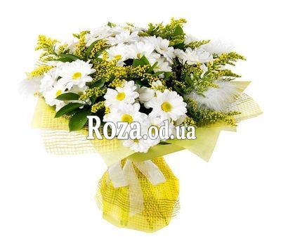 Хризантемы и мимоза