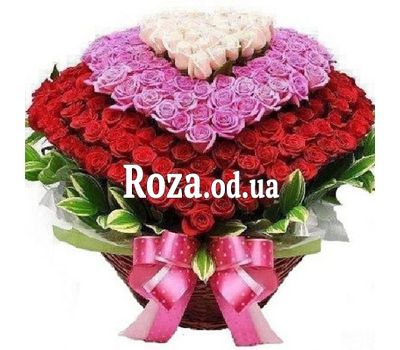 Корзина из 501 розы