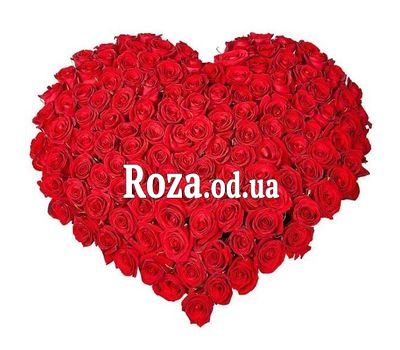 Сердце из 101 розы