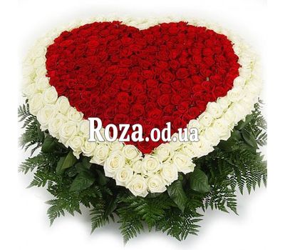 Сердце из 350 роз
