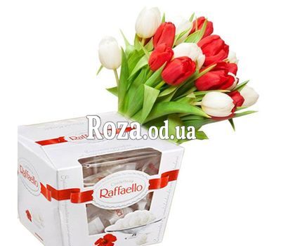 Tulips with Raffaello