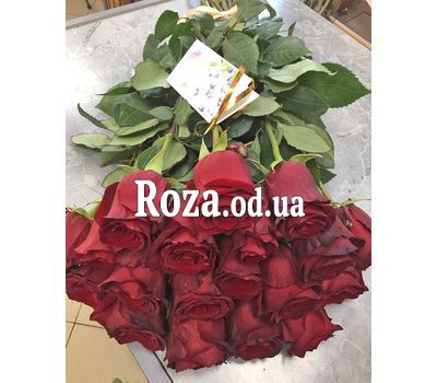 25 импортных роз 8