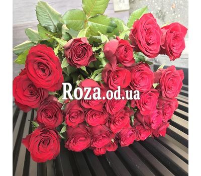 25 импортных роз 6