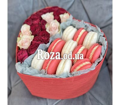 Box Macarons 14
