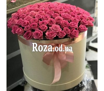 101 розовая роза в коробке