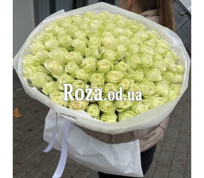 101 roses Odessa 6
