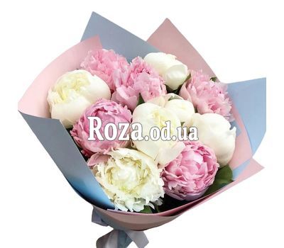 11 белых и розовых пионов