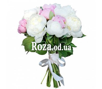 15 белых и розовых пионов