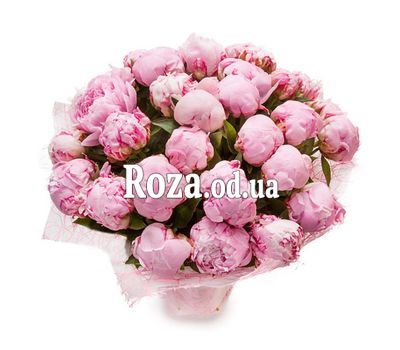 21 розовый пион
