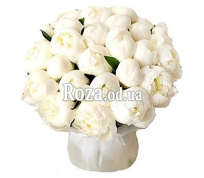 25 белых пионов