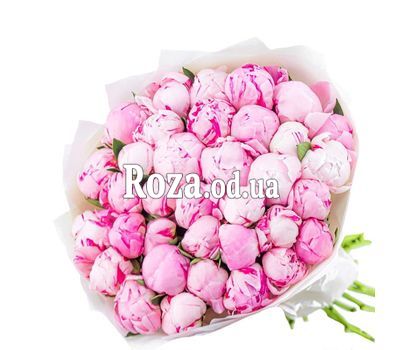 25 розовых пионов