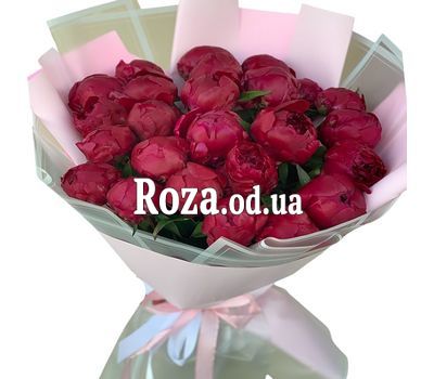 27 бордовых пионов