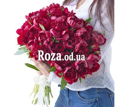 35 бордовых пионов 1