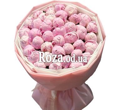 35 pink peonies