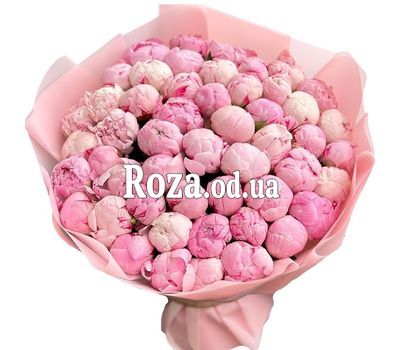 45 pink peonies