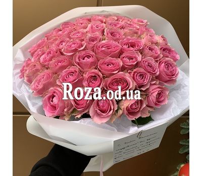 45 pink roses 2