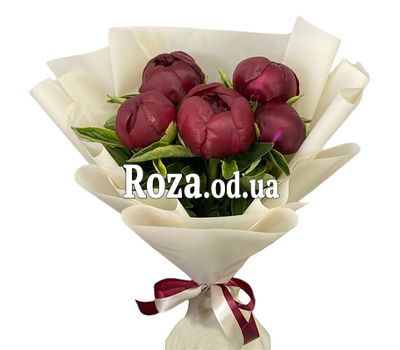 5 бордовых пионов