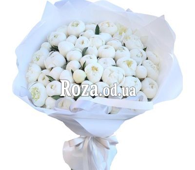 55 белых пионов