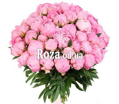 55 pink peonies