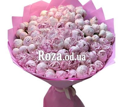 75 розовых пионов