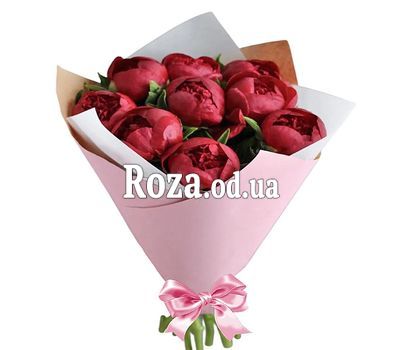 9 бордовых пионов