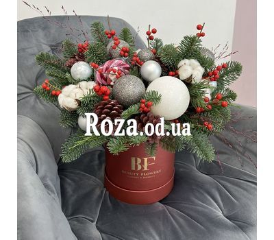 Северное сияние 1