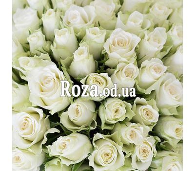101 червона троянда 40 см 1