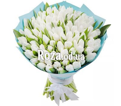 101 white tulips