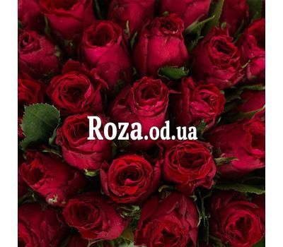 101 red rose 40 cm 1