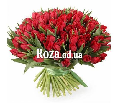 101 червоний тюльпан