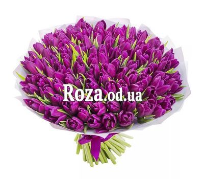 101 фиолетовый тюльпан