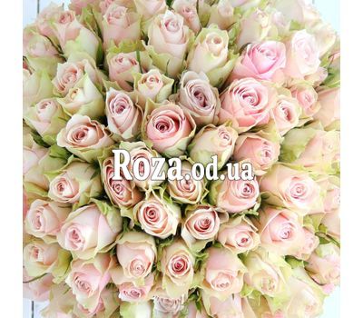 101 creamy pink rose 40 cm 1