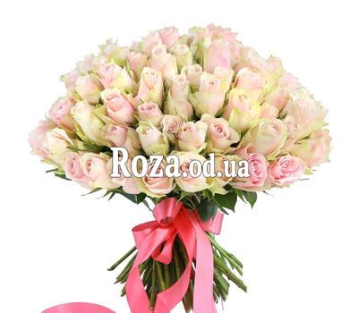 101 creamy pink rose 40 cm