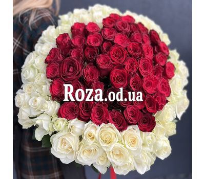 101 роза СЕРДЦЕ 6