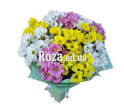 11 multi-colored chrysanthemums