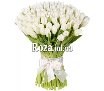111 white tulips
