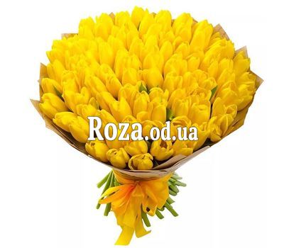 111 жовтих тюльпанів
