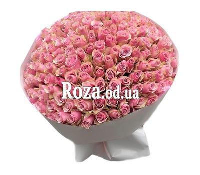 151 розовая роза