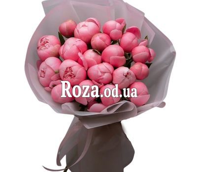 19 коралловых пионов