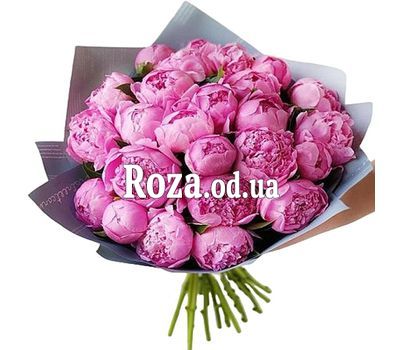 29 розовых пионов