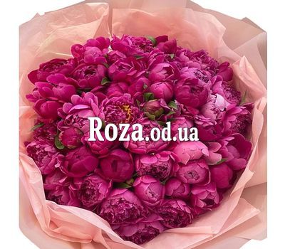 55 пионов