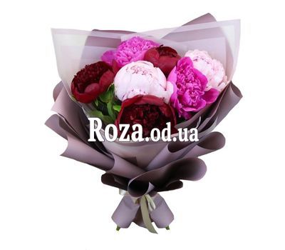 7 разноцветных пионов