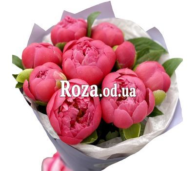 9 ярко розовых пионов