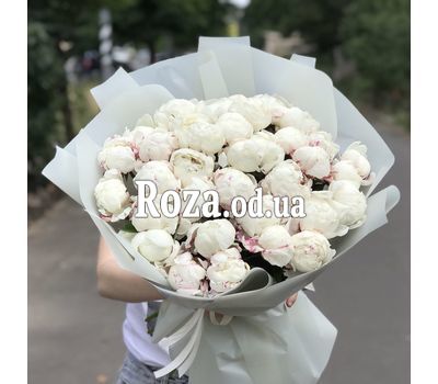 Букет из 35 белых пионов 2