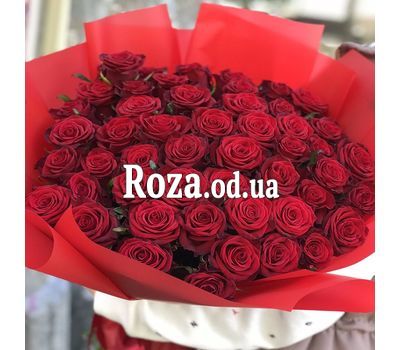 51 red roses 4