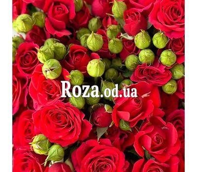 Красная кустовая роза 1